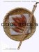 Cool Tools : Cooking Utensils from the Japanese Kitchen cover