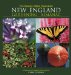 The Boston Globe Illustrated New England Gardening Almanac cover