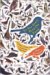 To See Every Bird on Earth : A Father, a Son, And a Lifelong Obsession cover