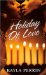 Holiday of Love cover