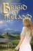 Brigid of Ireland : A Historical Novel cover