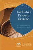 Fundamentals of Intellectual Property Valuation : Everyday Business Issues And Questions On Value And Valuation [Click for larger image]