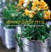 New Container Style : Simple and Innovative Ideas for Planing Recycled Pots cover