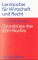 Grundzuge Des EDV-Rechts : Das Recht Der Datenverarbeitung Und Der Online-Dienste cover