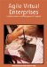 Agile Virtual Enterprises : Implementation And Management Support cover