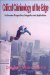 Critical Criminology at the Edge : Postmodern Perspectives, Integration, and Applications cover