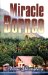 Miracle in Borneo cover