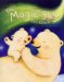The Magic Sky cover