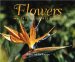 Flowers-images from Hawaii's Gardens cover