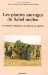 Les Plantes Sauvages Du Sahel Malien : Les Strategies D'adaptation a La Secheresse Des Saheliens cover