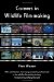 Careers in Wildlife Film-making cover