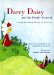 Darcy Daisy And the Firefly Festival : Learning About Bipolar Disorder And Community cover