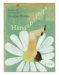 Handsprings : Poems & Paintings cover