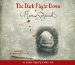The Dark Flight Down cover