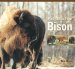 Portraits Of The Bison : An Illustrated Guide To Bison Society cover