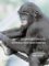 Behavioural Diversity in Chimpanzees and Bonobos cover