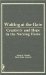 Waiting at the Gate : Creativity and Hope in the Nursing Home cover