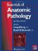 Essentials Of Anatomic Pathology cover