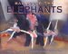 Ballet Of The Elephants cover