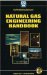 Natural Gas Engineering Handbook cover