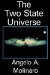 The Two State Universe cover