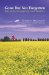 Gone but Not Forgotten : Tales of the Disappearing Grain Elevators cover