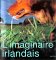 L'imaginaire Irlandais : 1996 cover