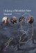 Helping A Palestinian State Succeed : Key Findings cover
