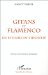 Gitans Et Flamenco : Les Rythmes De L'identite cover