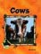 Cows cover