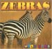 Zebras cover