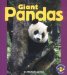 Giant Pandas cover