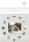Museums and the Interpretation of Visual Culture cover