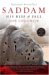 Saddam : His Rise and Fall cover