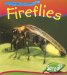 Fireflies cover