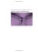  Women And Children First: Feminism, Rhetoric, And Public Policy