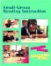 Small Group Reading Instruction : A Differentiated Teaching Model for Intermediate Readers, Grades 3-8 cover