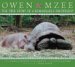 Owen & Mzee : The True Story of a Remarkable Friendship cover