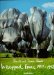 Wrapped Trees : Foundation Beyeler & Berower Park, Riehen, Basel, Switzerland, 1997-98 cover