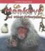 Monkeys And Other Primates cover