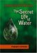 The Secret Life of Water