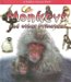 Monkeys And Other Primates cover