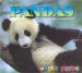 Giant Pandas cover