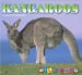 Kangaroos cover