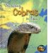 Watching Cobras in Asia cover