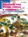 Bisuteria Con Nudos Chinos Y Cuentas : Originales Proyectos Explicados cover