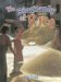 The Biography of Rice cover