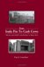 From Snake Pits To Cash Cows : Politics And Public Institutions In New York cover