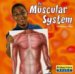 The Muscular System