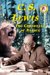 C.S. Lewis : The Chronicler of Narnia cover